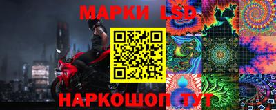 гашик Нальчик
