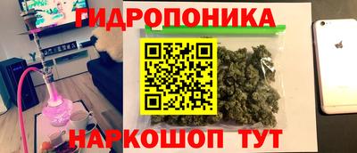 гашик Нальчик
