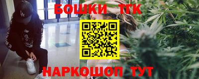 гашик Нальчик