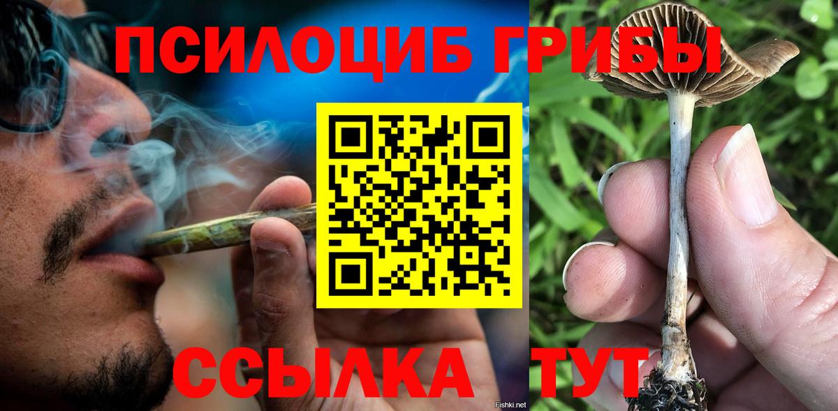 Урус-Мартан  Галлюциногенные грибы GOLDEN TEACHER  Псилоцибиновые грибы Magic Shrooms  Вход с VPN 
