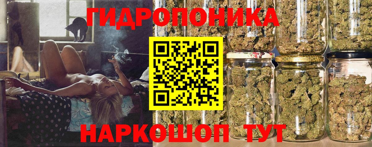 Каннабис планчик  Вход с VPN  Урус-Мартан  Бошки Шишки ГИДРОПОН  Марихуана LSD WEED 